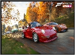 Forza Horizon 4, Samochody, Wyścig