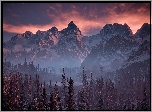 Gra, Horizon Zero Dawn : The Frozen Wilds, Krajobraz, Góry, Las