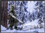 Gra, Battlefield 4, Żołnierz, Snajper, Drzewo, Zima, Las, Śnieg